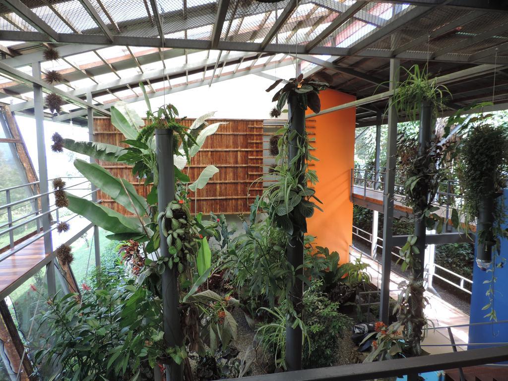 Celeste Mountain Lodge Бихагуа Екстериор снимка